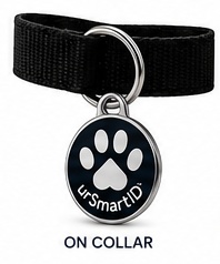 Close-up of the urSmartID tag attached to a black collar with a split ring