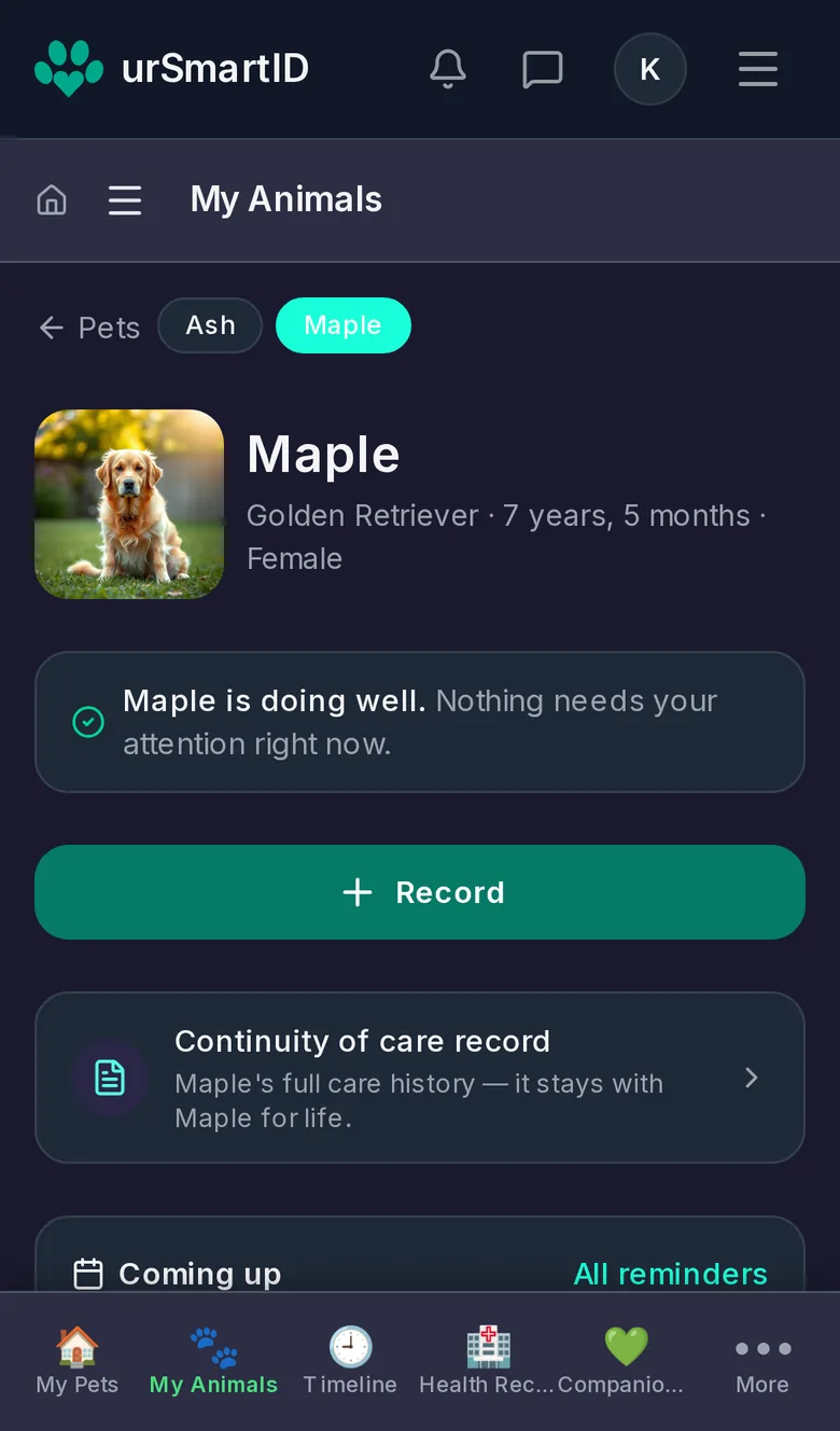 Maple the Golden Retriever's page on a phone: her photo, 'Maple is doing well', and her continuity-of-care record.