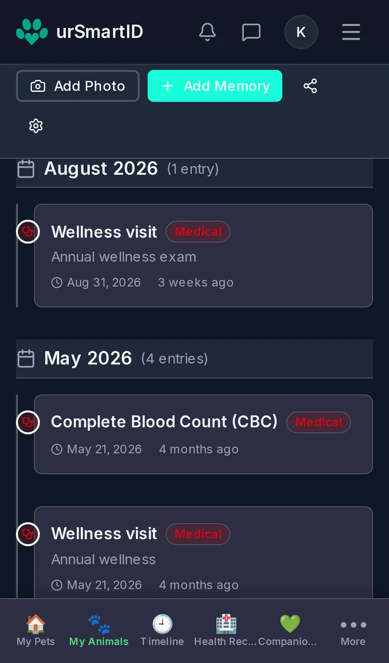 Maple's timeline on a phone: a wellness visit in August 2026, and a blood count and wellness visit in May 2026.