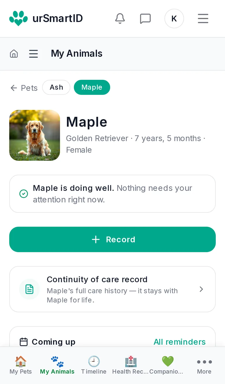 Maple the Golden Retriever's page on a phone: her photo, 'Maple is doing well', and her continuity-of-care record.