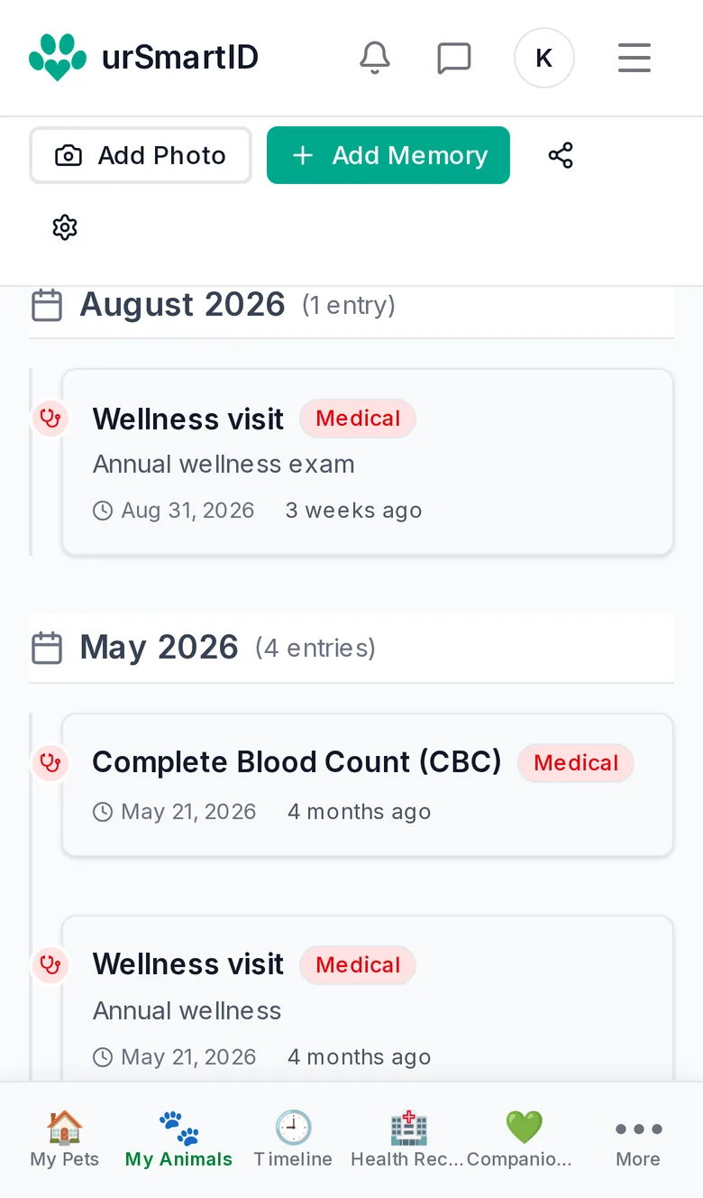Maple's timeline on a phone: a wellness visit in August 2026, and a blood count and wellness visit in May 2026.